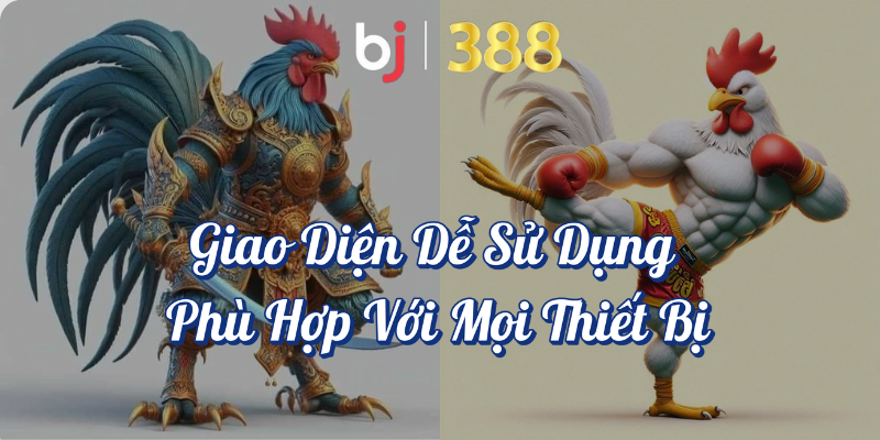 Cá Cược Đá Gà - Trò Chơi Đỉnh Cao Tại BJ388 4 Giao diện dễ sử dụng phù hợp với mọi thiết bị