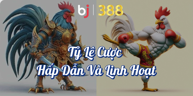 Cá Cược Đá Gà - Trò Chơi Đỉnh Cao Tại BJ388 3 Tỷ lệ cược hấp dẫn và linh hoạt