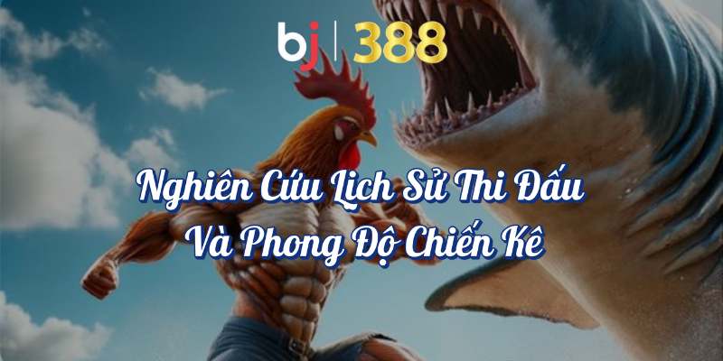 Những Bí Quyết Cá Cược Đá Gà Thắng Lớn Tại BJ388 2 Nghiên cứu lịch sử thi đấu và phong độ chiến kê