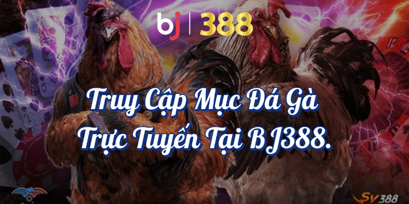 Theo Dõi Đá Gà Online Và Hướng Dẫn Chi Tiết Cách Tại BJ388 3 Truy cập mục Đá Gà Trực Tuyến tại BJ388