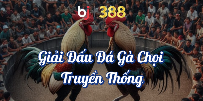 Giải Đấu Đá Gà Hấp Dẫn Nhất Trên BJ388 3 Giải đấu đá gà chọi truyền thống