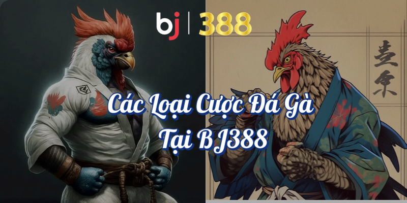 Hướng Dẫn Chi Tiết Cách Đặt Cược Đá Gà Tại BJ388 4 Các loại cược đá gà tại BJ388