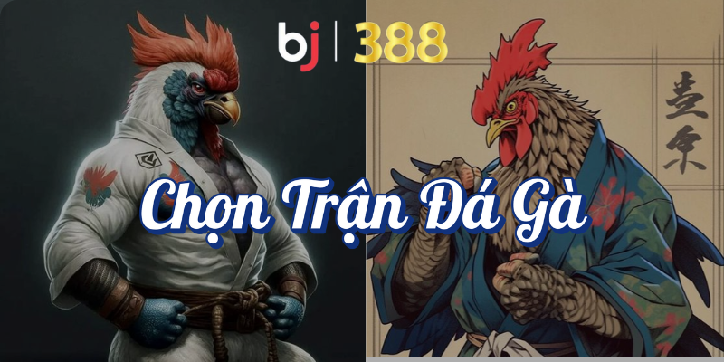 Hướng Dẫn Chi Tiết Cách Đặt Cược Đá Gà Tại BJ388 3 Chọn trận đá gà