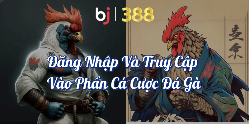 Hướng Dẫn Chi Tiết Cách Đặt Cược Đá Gà Tại BJ388 2 Đăng nhập và truy cập vào phần cá cược đá gà