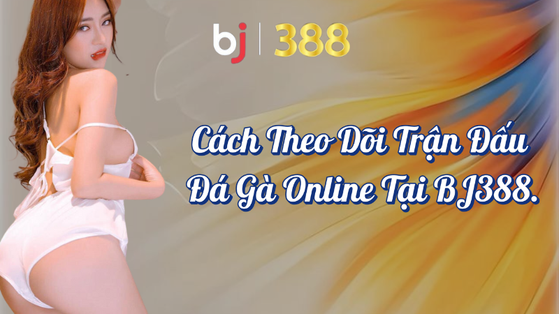 Theo Dõi Đá Gà Online Và Hướng Dẫn Chi Tiết Cách Tại BJ388 1 Cách theo dõi trận đấu đá gà online tại BJ388