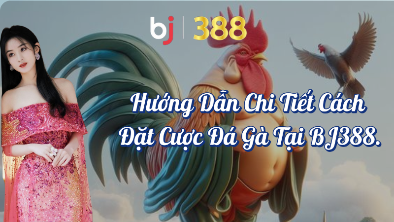 Hướng Dẫn Chi Tiết Cách Đặt Cược Đá Gà Tại BJ388 1 Hướng dẫn chi tiết cách đặt cược đá gà tại BJ388