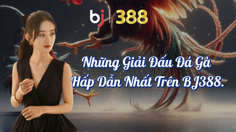 Giải Đấu Đá Gà Hấp Dẫn Nhất Trên BJ388 1 Những giải đấu đá gà hấp dẫn nhất trên BJ388
